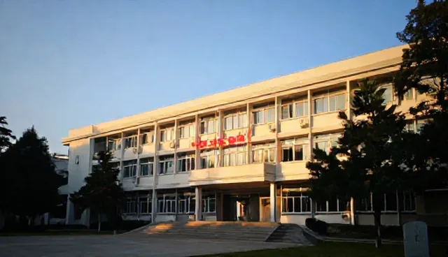 年度税务筹划方案：自主操作与代理记账的取舍分析